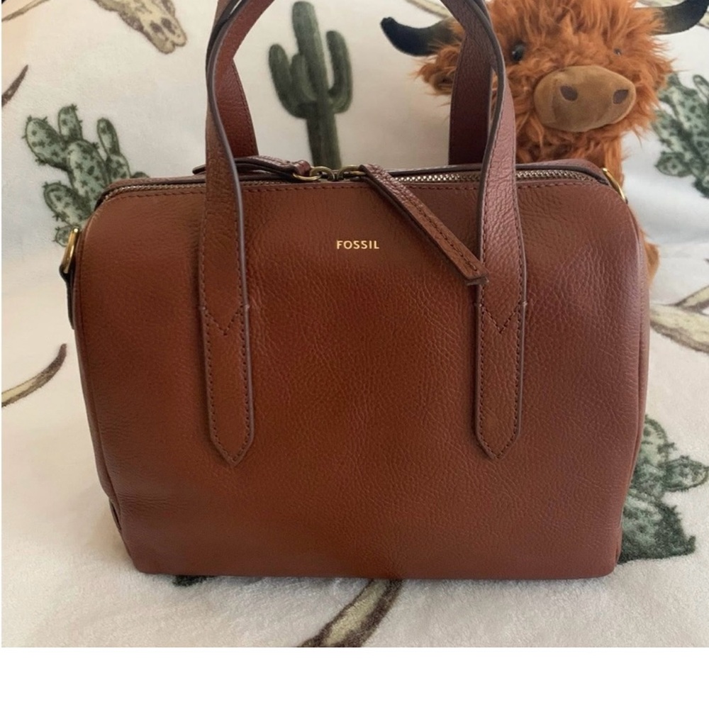 Fossil Brown Leather Women's Bag